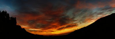 Good morning_5053583978_l.jpg